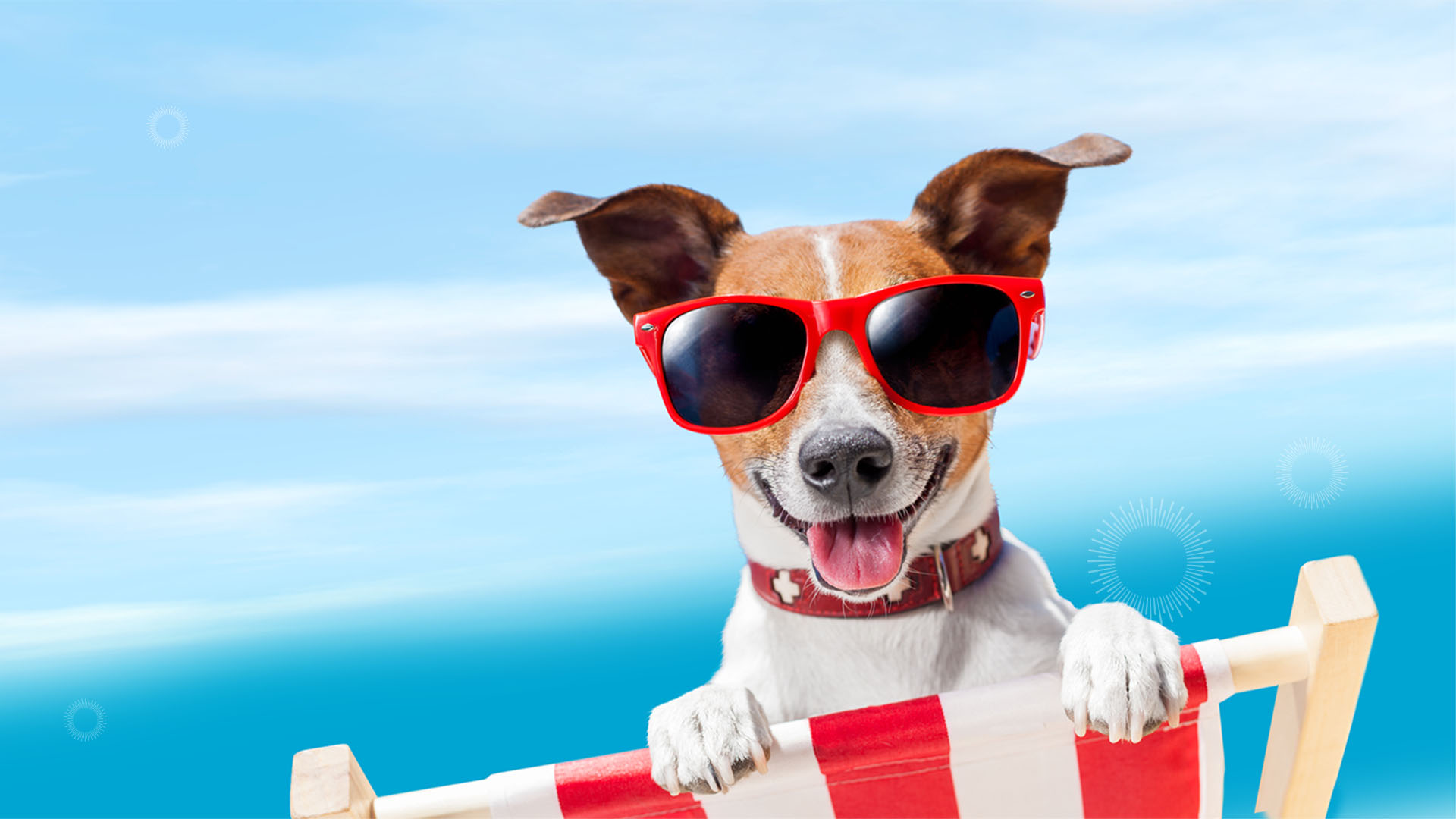 A cute dog with tongue out and wearing red sunglasses sits in a beach chair in front of a blue sky background