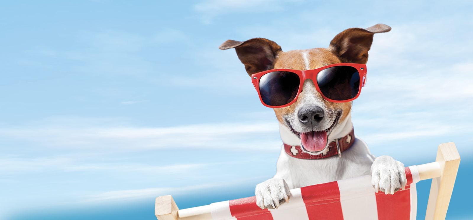 use for 2026 Summer Loan Rotator background